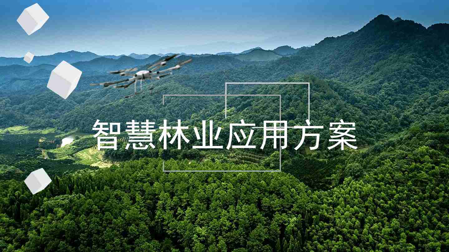 智慧林业